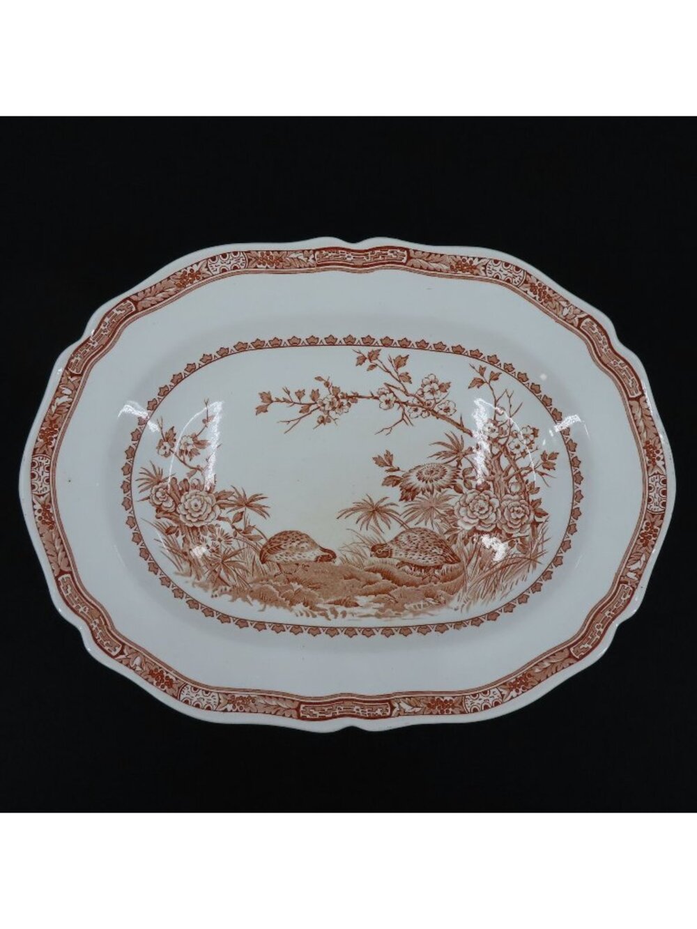 Vintage Furnivals Quail 684771 England Brown Platter 13.5in Floral Serving Plate